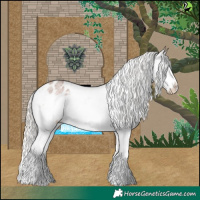 Horse Color:Silver Blue Roan Splash Appaloosa 