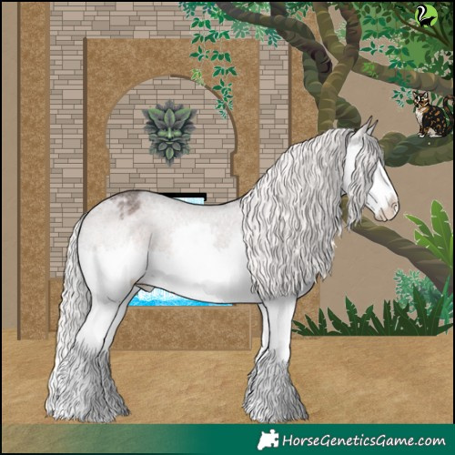 Horse Color:Silver Brown Roan Splash Varnish 