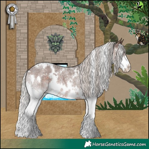 Horse Color:White Spotted Silver Brown Roan Splash 