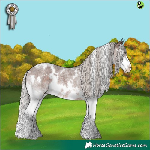Horse Color:White Spotted Silver Brown Roan Splash 