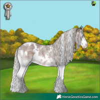 Horse Color:White Spotted Silver Brown Roan Splash 