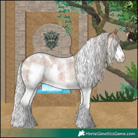 Horse Color:White Spotted Silver Bay Roan Splash 
