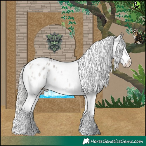 Horse Color:White Spotted Silver Blue Roan Splash Appaloosa 