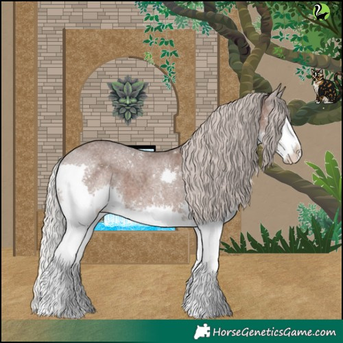 Horse Color:Silver Blue Roan Splash