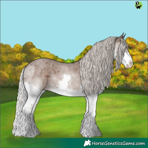 Horse Color:Silver Blue Roan Splash 