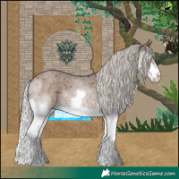 Horse Color:Silver Blue Roan Splash