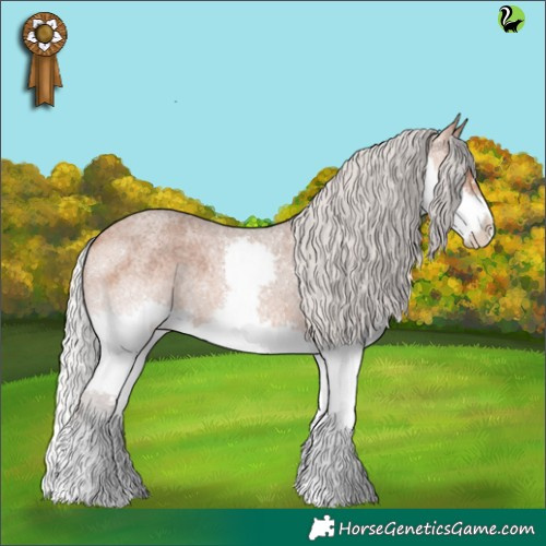 Horse Color:Silver Bay Roan Splash 