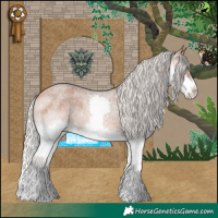 Horse Color:Silver Bay Roan Splash 