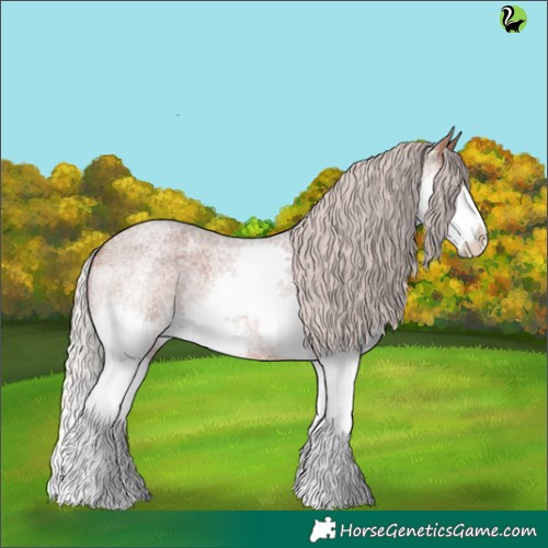 Horse Color:Silver Bay Roan Splash 