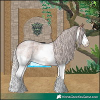 Horse Color:Silver Bay Roan Splash 