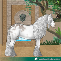 Horse Color:Silver Blue Roan Splash Appaloosa 