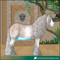 Horse Color:Silver Bay Roan Splash 
