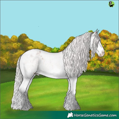 Horse Color:Silver Blue Roan Splash Appaloosa 