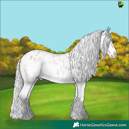 Horse Color:White Spotted Silver Bay Roan Splash Appaloosa 