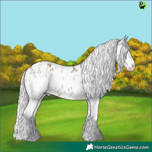 Horse Color:White Spotted Silver Blue Roan Splash Appaloosa 