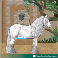Horse Color:White Spotted Silver Bay Roan Splash Appaloosa