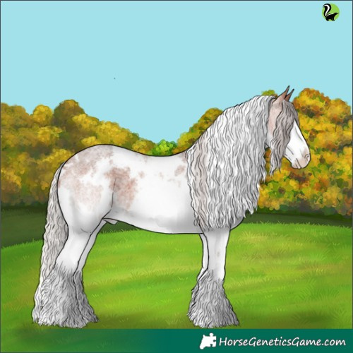 Horse Color:White Spotted Silver Bay Roan Splash
