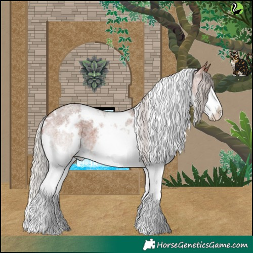 Horse Color:White Spotted Silver Bay Roan Splash 