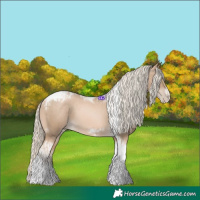 Horse Color:Chocolate Palomino Pearl Tobiano Frame  and Chocolate Palomino Pearl Tobiano Frame Appaloosa 