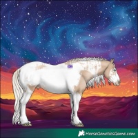 Horse Color:Chocolate Palomino Pearl Tobiano Frame  and Chocolate Palomino Pearl Tobiano Frame 