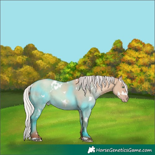 Horse Color:White Spotted Silver Sable Champagne Dun 
