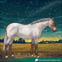 Horse Color:Silver Brown Roan 