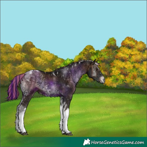 Horse Color:Painted Liver Red Onyx Ice Tobiano 