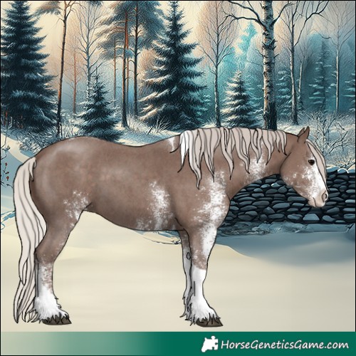 Horse Color:White Spotted Silver Black Tobiano 