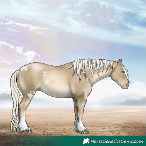 Horse Color:White Spotted Silver Smoky Black Pearl Tobiano 
