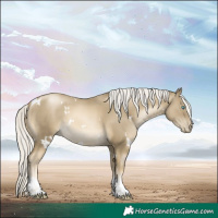 Horse Color:White Spotted Silver Smoky Black Pearl Tobiano 