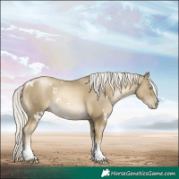 Horse Color:White Spotted Silver Smoky Black Pearl Tobiano 