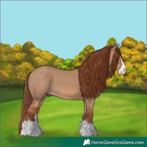 Horse Color:Red Dun Splash 