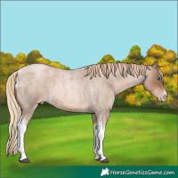 Horse Color:Liver Red Roan Pearl Tobiano Frame 