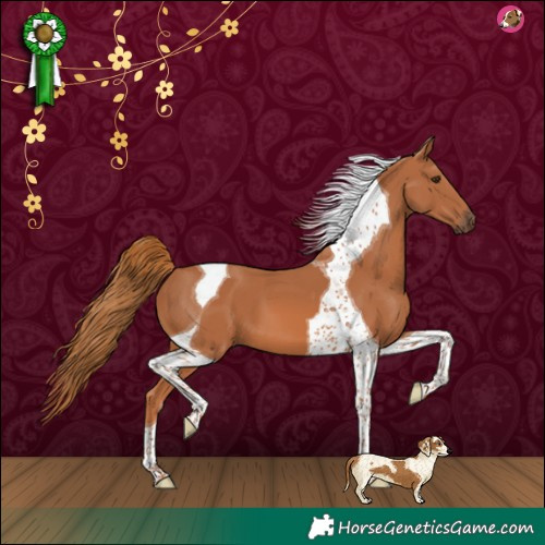 Horse Color:Chestnut Tobiano 