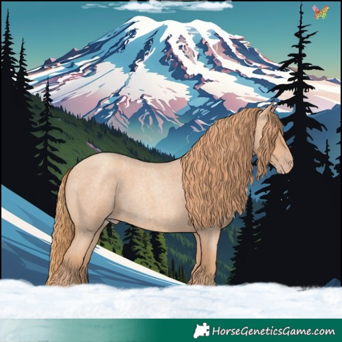 Horse Color:Gold Champagne Roan 