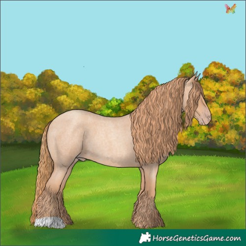 Horse Color:Gold Champagne Roan 