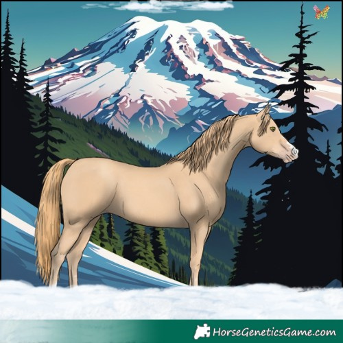 Horse Color:Gold Champagne 