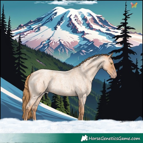 Horse Color:Gold Champagne Roan 