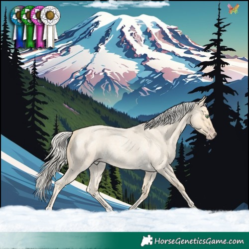 Horse Color:Gold Cream Champagne Roan 