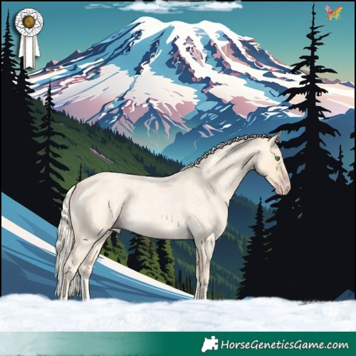 Horse Color:Gold Cream Champagne Roan 