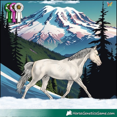 Horse Color:Gold Cream Champagne Roan 
