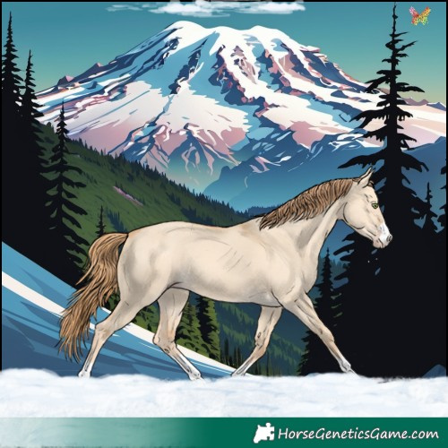 Horse Color:Gold Champagne Dun 