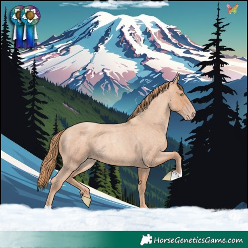 Horse Color:Gold Champagne Roan 