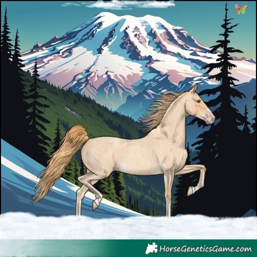 Horse Color:Gold Champagne Roan 