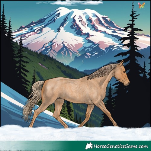 Horse Color:Red Roan 