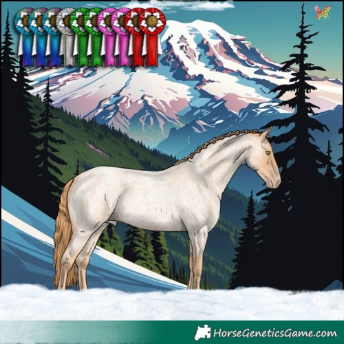 Horse Color:Gold Champagne Roan 