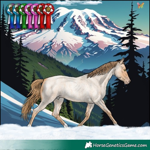 Horse Color:Gold Champagne Roan 