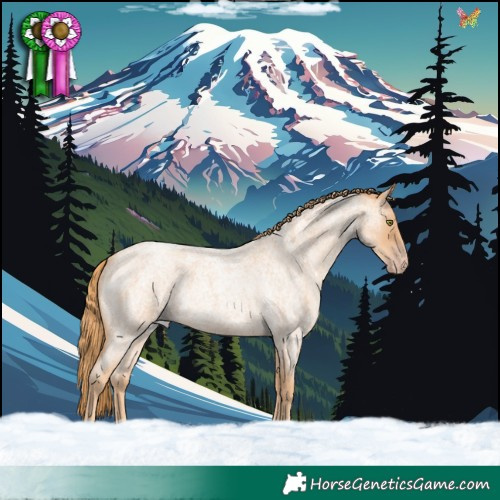 Horse Color:Gold Champagne Roan 