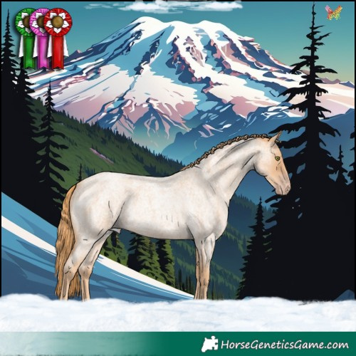 Horse Color:Gold Champagne Roan 