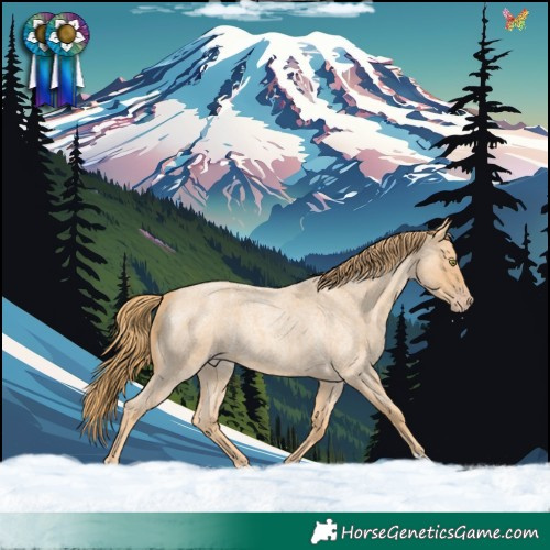 Horse Color:Gold Champagne Roan 